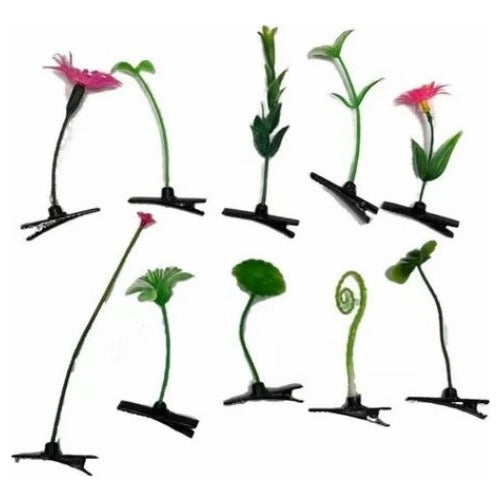 Broche Cabello Planta Broma 20 Plantitas