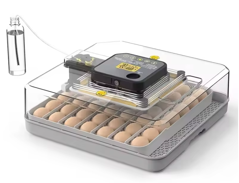2 incubadoras de 48 huevos Mini incubadora de huevos incubadora de huevos automática GRADO B