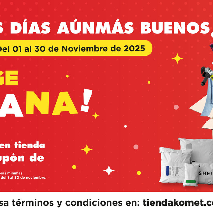 Términos y Condiciones – Promociones Buen Fin y Mes de Noviembre 2025