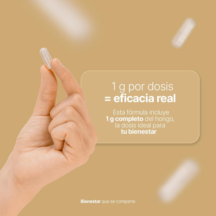 Hongo melena de león puro 90 capsulas 1000mg por porción. Ingredientes naturales