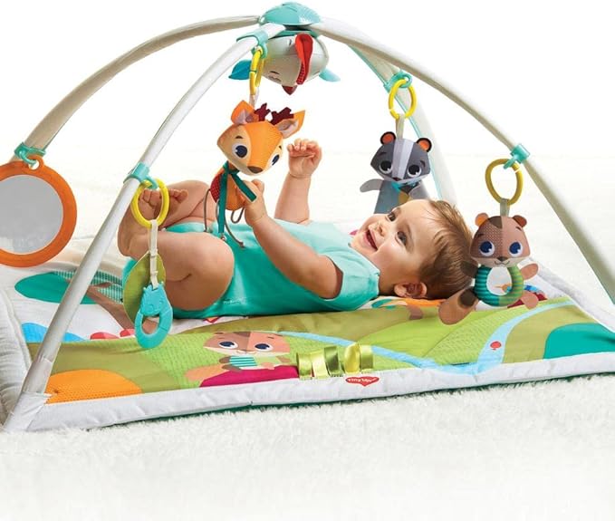 GIMNASIO EN EL BOSQUE DE LUJO TINY LOVE GRADO A