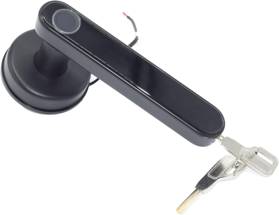 CONTROL REMOTO HUELLA DIGITAL INTELIGENTE CERRADURA BIOMÉTRICA INTERIOR PUERTA DE METAL DE MADERA GRADO A