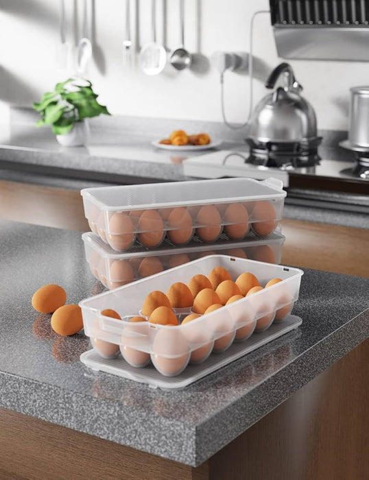 CLEAR PLASTIC EGG HOLDER WITH LID & HANDLES