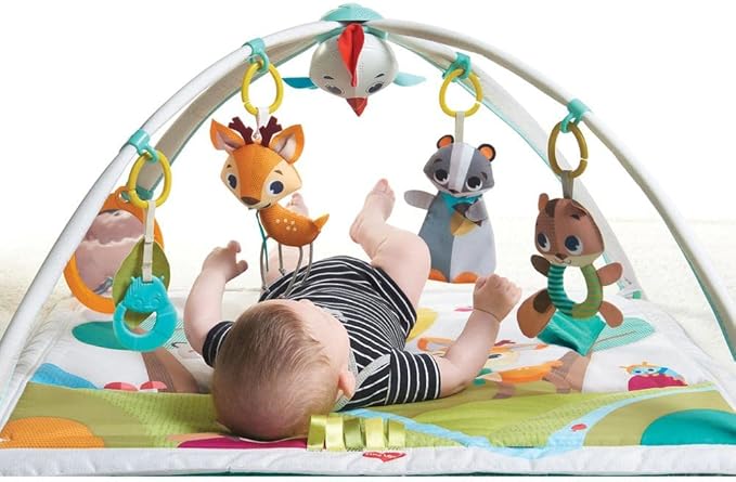 GIMNASIO EN EL BOSQUE DE LUJO TINY LOVE GRADO A