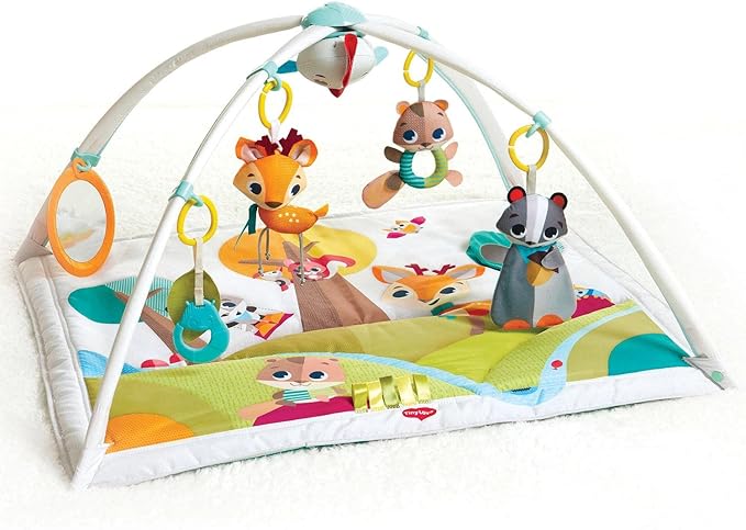 GIMNASIO EN EL BOSQUE DE LUJO TINY LOVE GRADO A