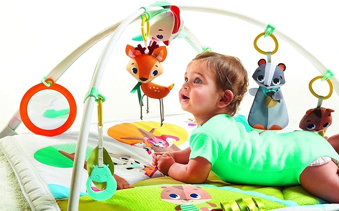 GIMNASIO EN EL BOSQUE DE LUJO TINY LOVE GRADO A