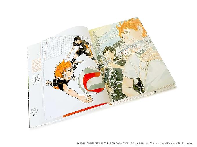 THE ART OF HAIKYU!!: ENDINGS AND BEGINNINGS GRADO B