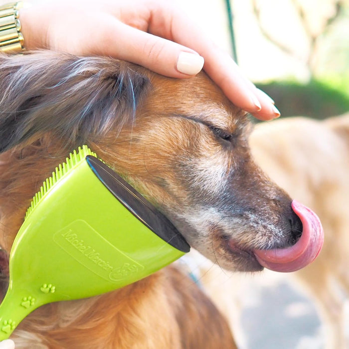 MICHEL MERCIER  DETANGLING BRUSH FOR PET GRADO B