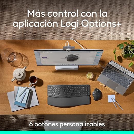 MOUSE LOGITECH MX ERGO S TRACKBALL GRAPHITE GRADO A
