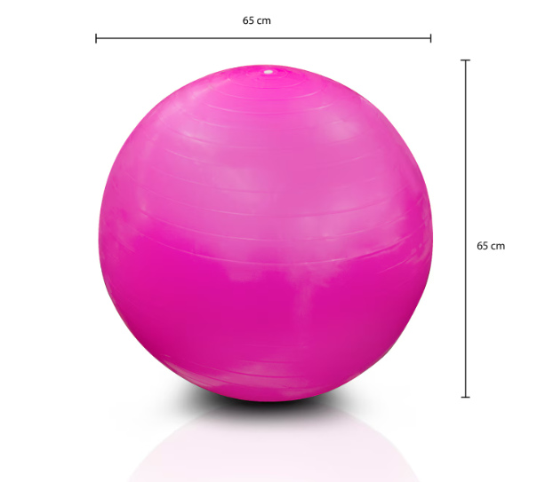 Pelota de Yoga 65 cm Soporta 180 kg Crossfit Rosa GRADO B
