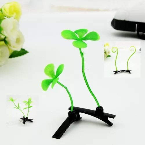 Broche Cabello Planta Broma 20 Plantitas