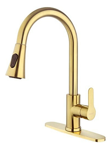 tarja dorado cubierta orificio para baao cocina grifo 1