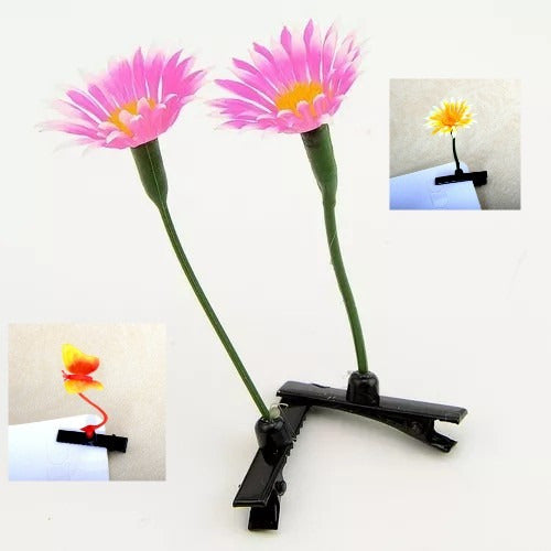 Broche Cabello Planta Broma 20 Plantitas