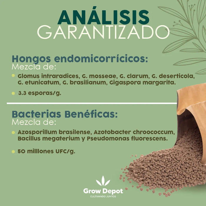 Micorrizas 1 Kg Azospirillum, Bacillus Subtillis., Trichoderma Spp. GRADO B