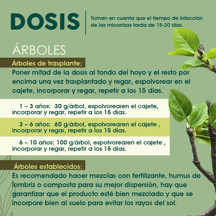Micorrizas 1 Kg Azospirillum, Bacillus Subtillis., Trichoderma Spp. GRADO B