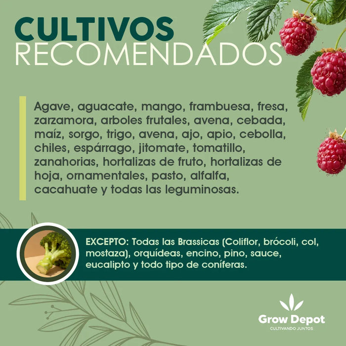 Micorrizas 1 Kg Azospirillum, Bacillus Subtillis., Trichoderma Spp. GRADO B