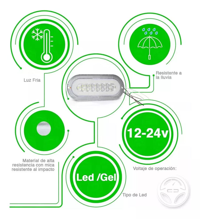 plafon ovalado 12 led alta baja estrobo 12 24v blanco led Grado B