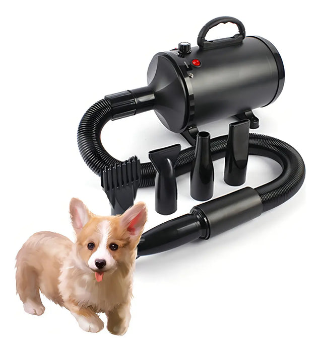 SECADOR DE PELO PARA MASCOTAS 3800W NOVAKA NEGRO CON BOQUILLAS INCLUIDAS GRADO B