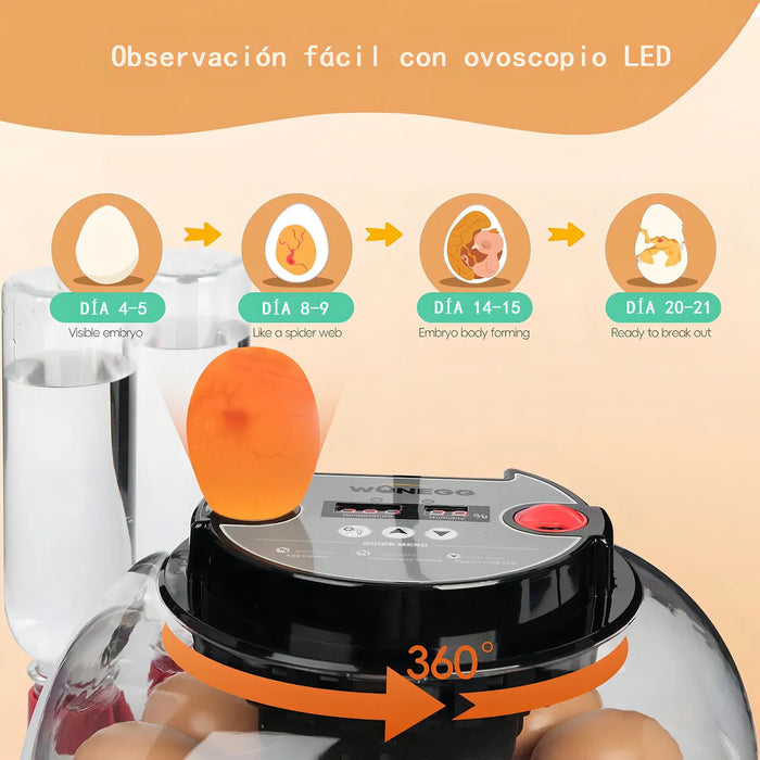 INCUBADORA AUTOMATICA 12 HUEVOS LED 360Â° CON HUMEDAD AGREGAR GRADO A