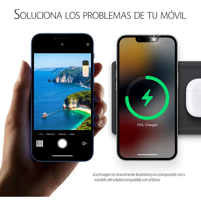 FLEXOR CAMARA TRASERA PARA IPHONE 12 PRO MAX A2411 A2342