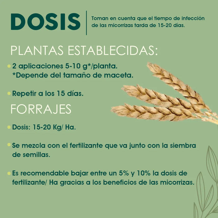 Micorrizas 1 Kg Azospirillum, Bacillus Subtillis., Trichoderma Spp. GRADO B