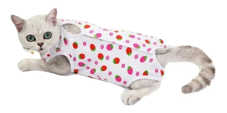 faja postoperatoria para gato
