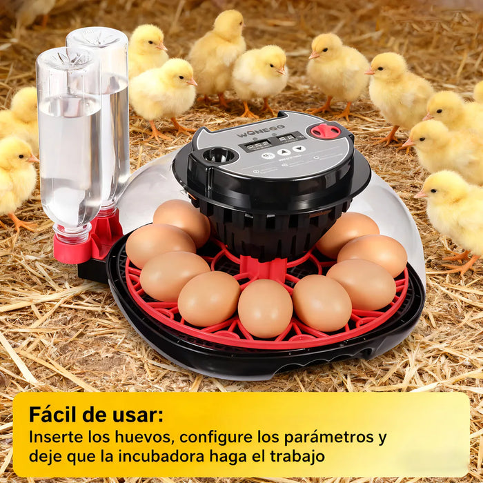 INCUBADORA AUTOMATICA 12 HUEVOS LED 360Â° CON HUMEDAD AGREGAR GRADO A