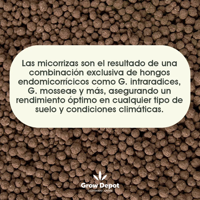 Micorrizas 1 Kg Azospirillum, Bacillus Subtillis., Trichoderma Spp. GRADO B