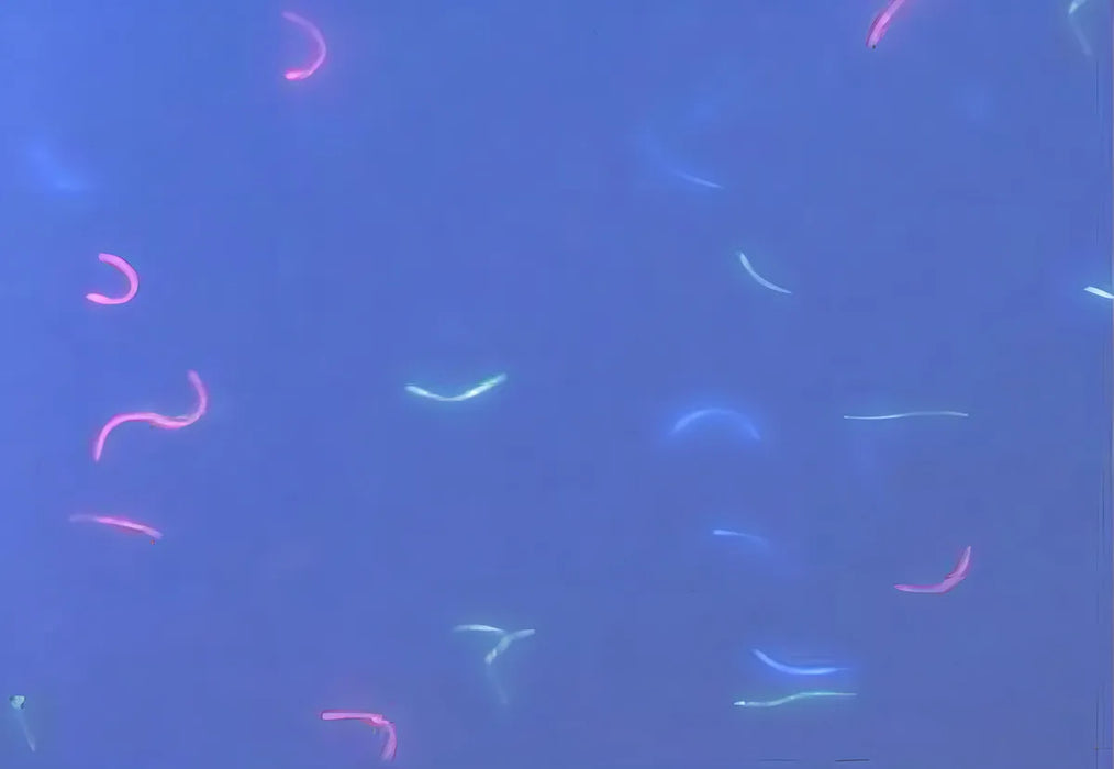 500 Hojas De Papel Seguridad 90 Gr Tamaño Carta GRADO B