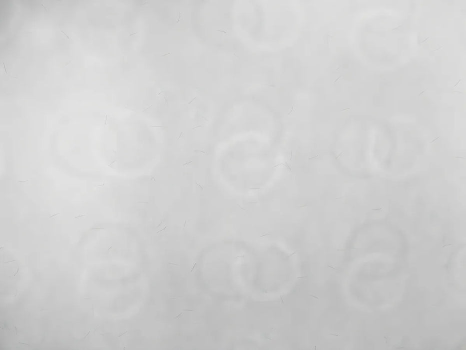 500 Hojas De Papel Seguridad 90 Gr Tamaño Carta GRADO B