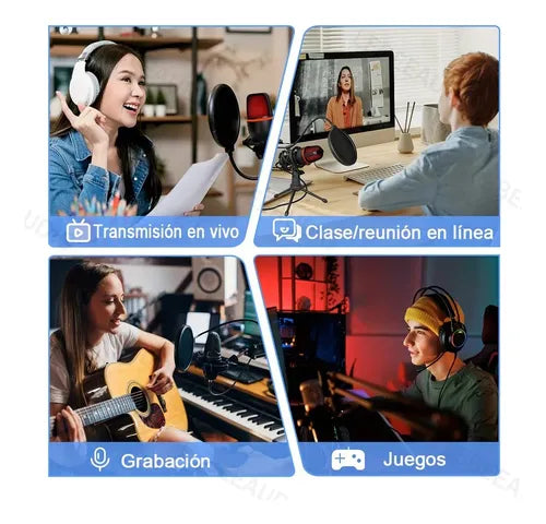 Lebeeaudio Me4-rgb Usb Micrófono Condensador,micrófono De Pc GRADO B