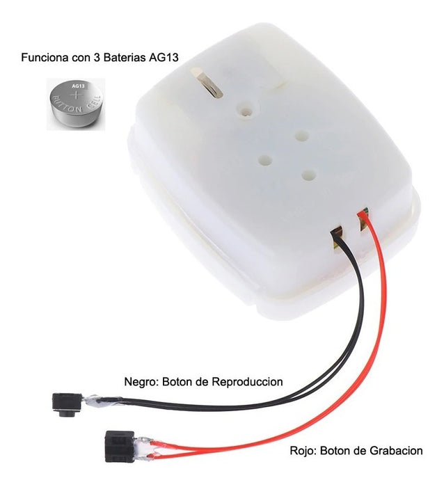 Caja De Grabación De Voz Para Mensajes Peluches Regalos