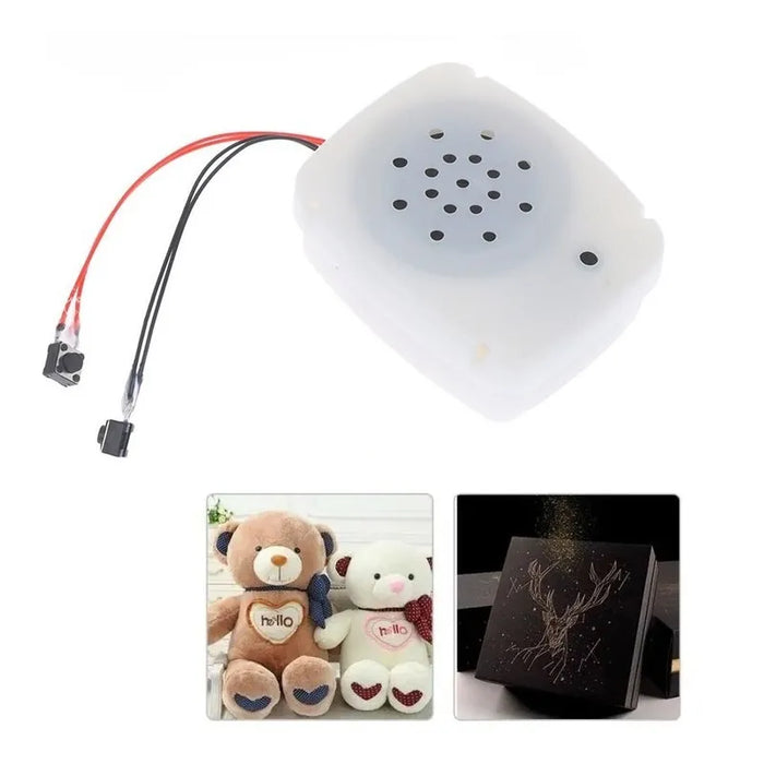 Caja De Grabación De Voz Para Mensajes Peluches Regalos