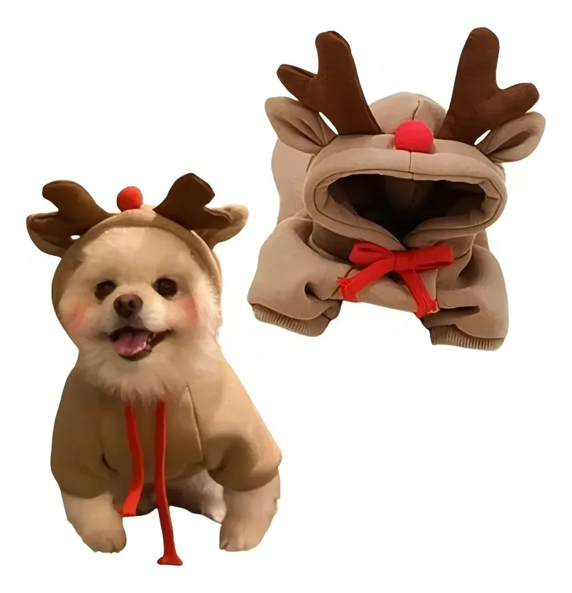 Animales y Mascotas