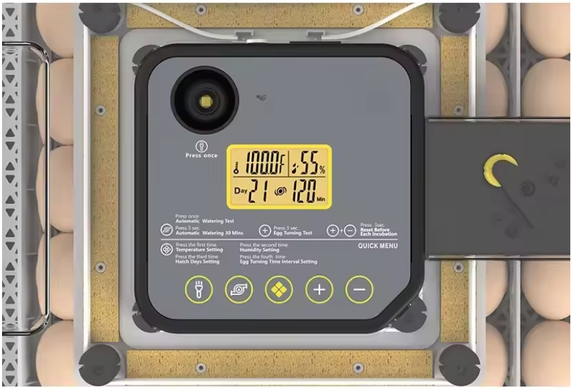 incubadora de 48 huevos Mini incubadora de huevos incubadora de huevos automática GRADO B
